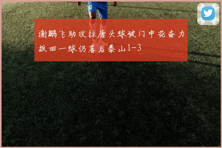 谢鹏飞助攻拉唐头球破门申花奋力扳回一球仍落后泰山1-3