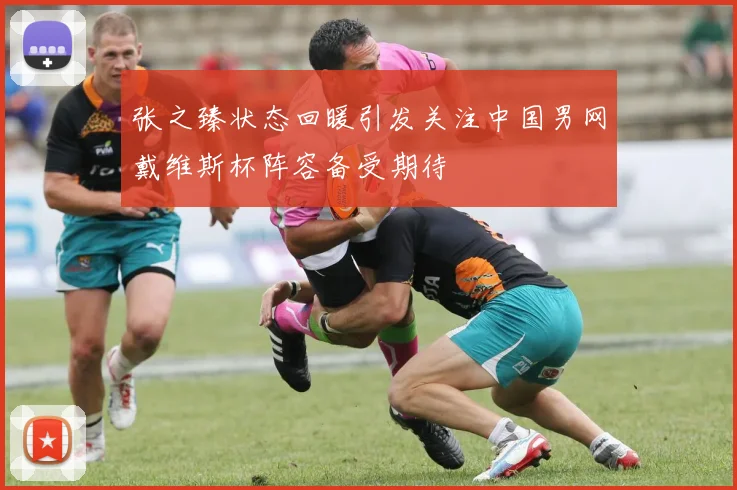 张之臻状态回暖引发关注中国男网戴维斯杯阵容备受期待